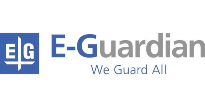 【イー・ガーディアン株式会社】NFTゲーム事業を包括的にサポートする「NFTゲームサポート」提供開始