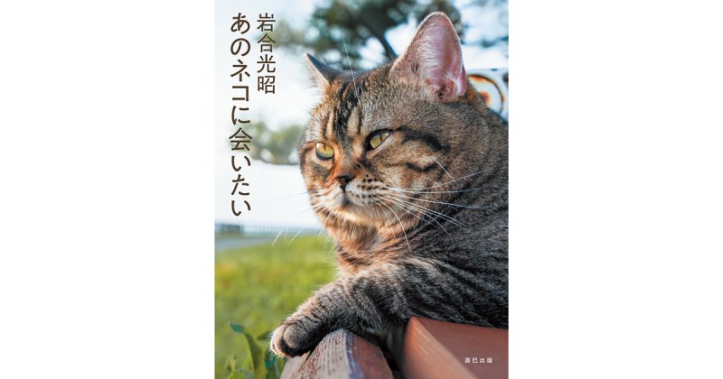 まるでスター猫の世界選抜！ 岩合光昭 写真集『あのネコに会いたい』発売