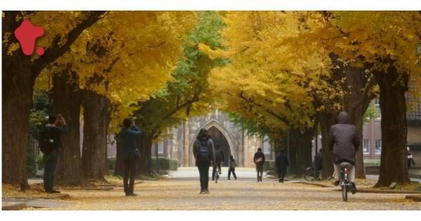 東京大学が「メタバース工学部」設立を発表