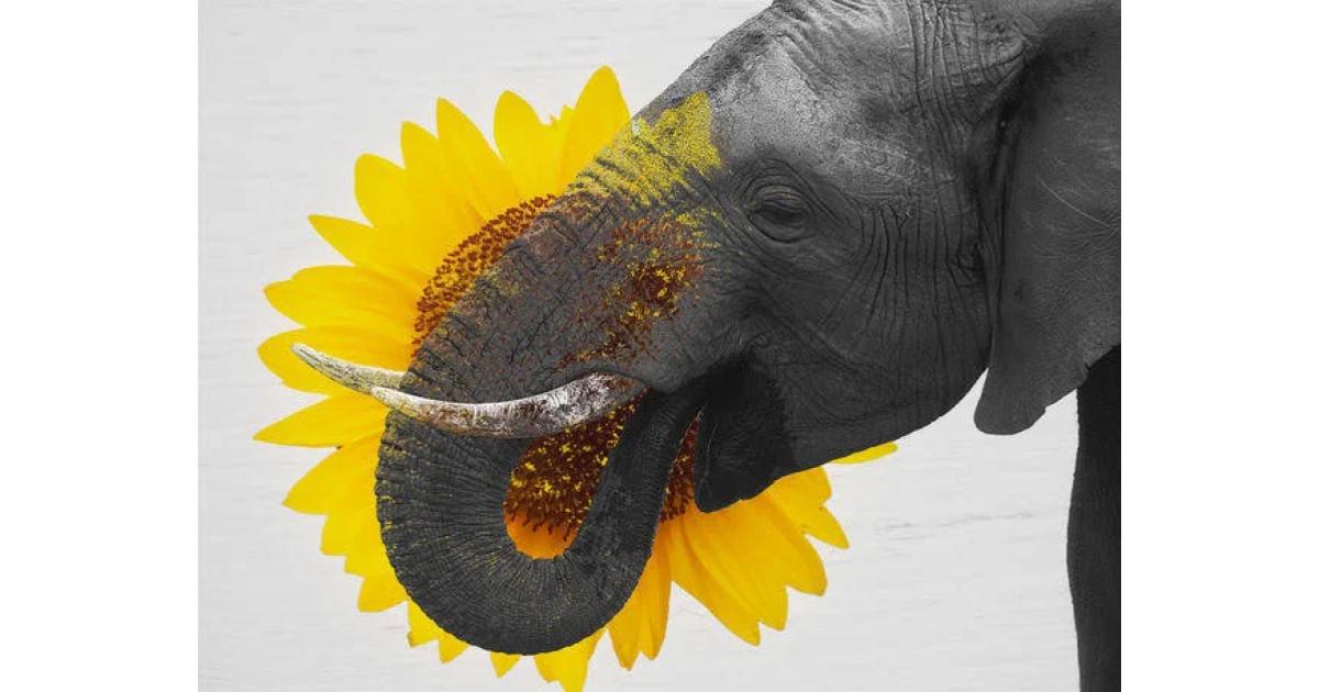 【週間国内NFTニュース】12/5〜12/11｜これだけは押さえたいニュース5選