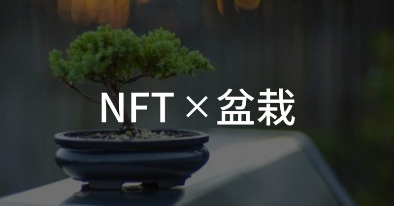 【NFT×盆栽】盆栽業界におけるNFT活用事例3選