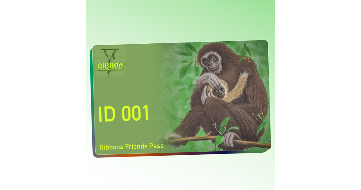 株式会社奇兵隊、タイとインドネシアでOpen Townプロジェクトを開始。NFTアートの収益でテナガザルの保護など持続可能な環境作りを目指す!