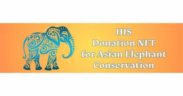 HIS　アジアゾウ　NFT