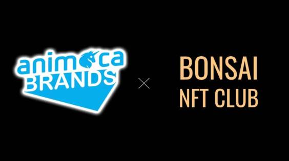Animoca Brands Japan BONSAI NFT CLUB パートナーシップ