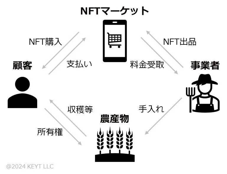 柿の木NFT　スキーム