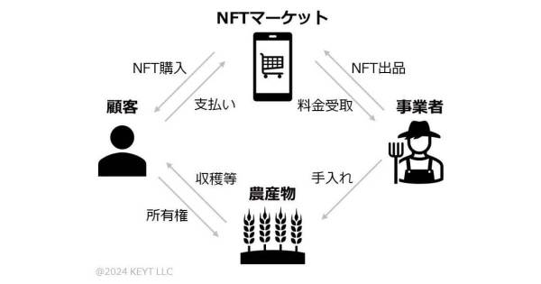 柿の木NFT　KEYT