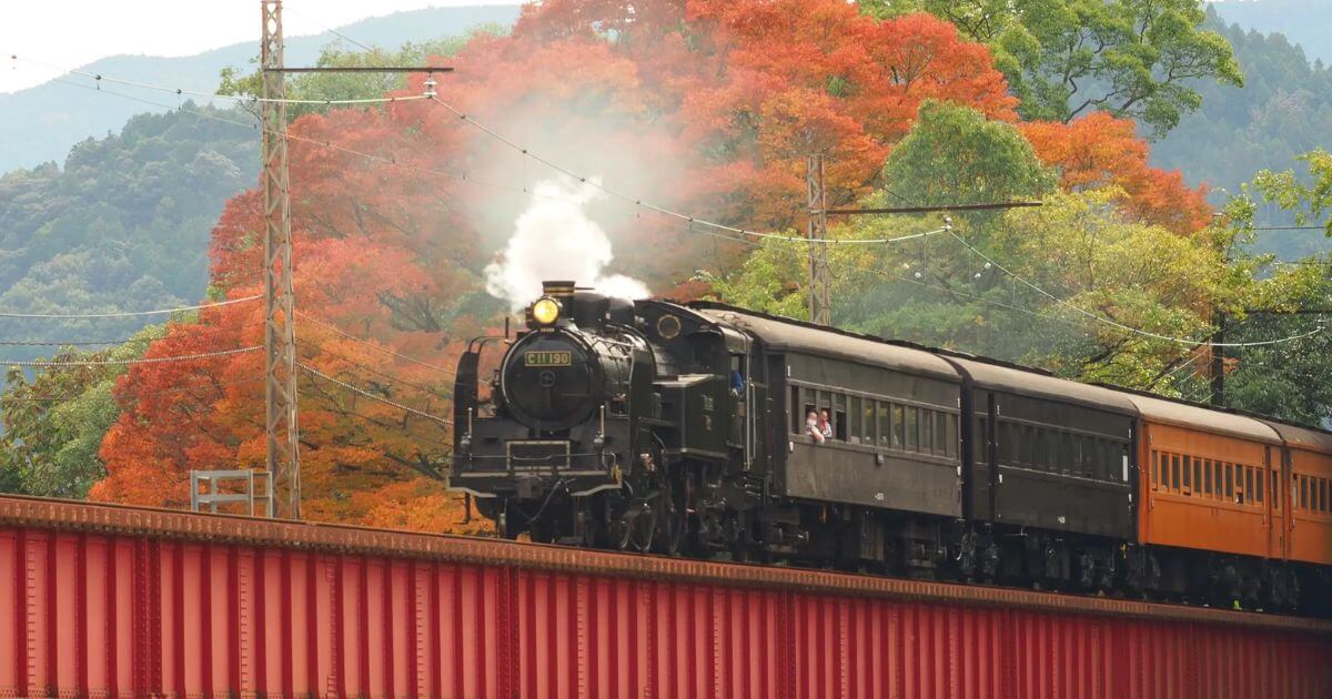 Marbull X、大井川鐵道の新サービス「大鐵members」立ち上げを支援。ローカルコンテンツ×NFTで地域創生