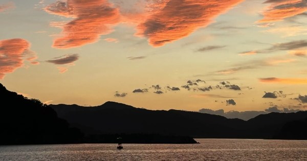 SINRA 南伊勢町 ブルーカーボン クレジット NFT 熊野灘