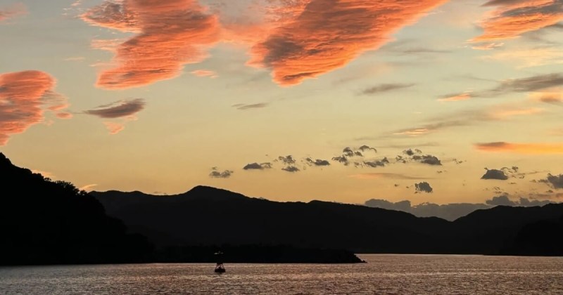 SINRA 南伊勢町 ブルーカーボン クレジット NFT 熊野灘