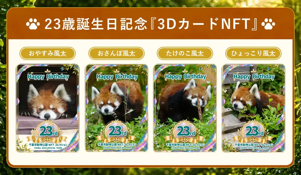 千葉市動物公園のレッサーパンダ「風太」の23歳誕生日記念「3DカードNFT」が発売開始
